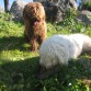 Facundo y Tula de ruta por la Sierra